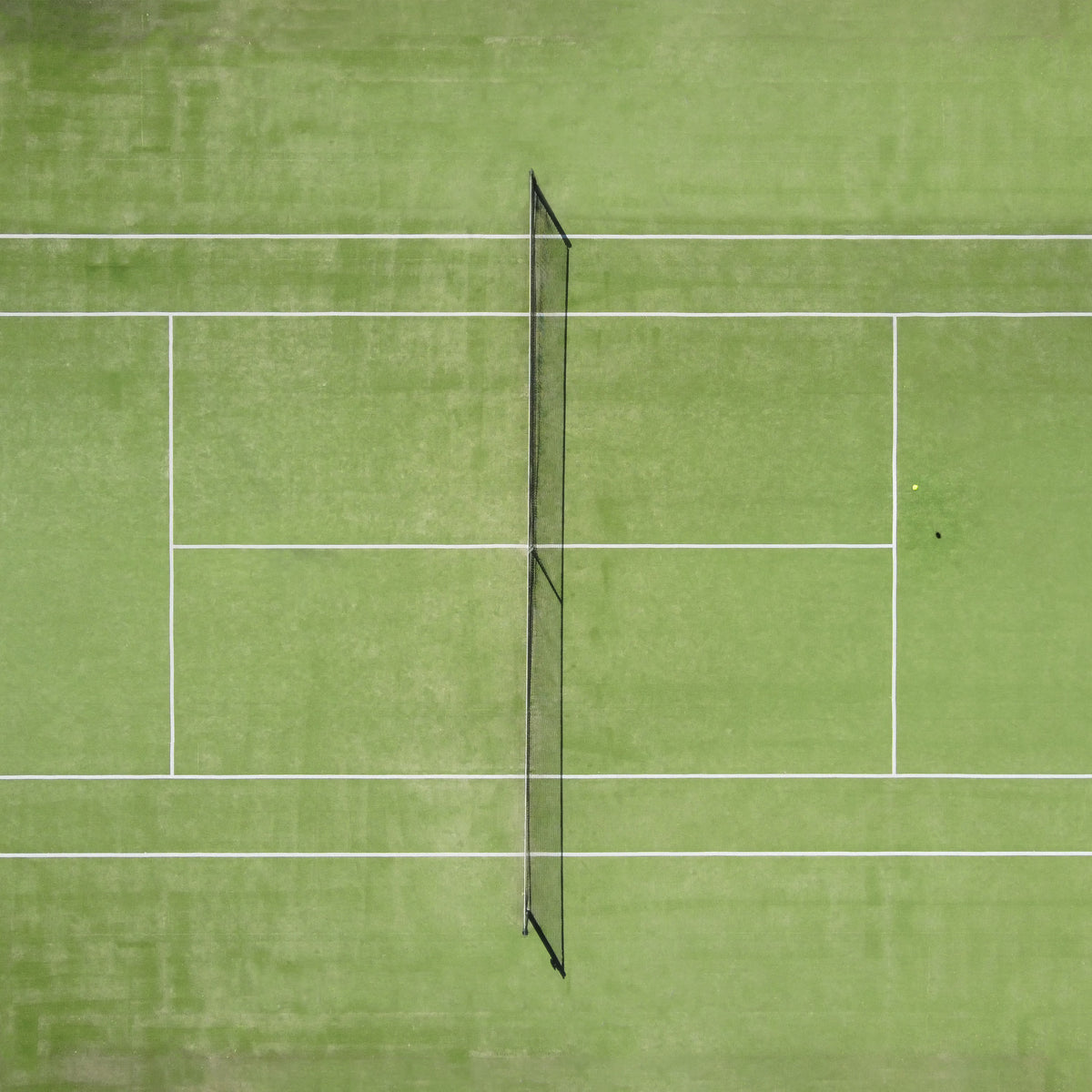 Just How Important Was "Battle of the Sexes" Match?