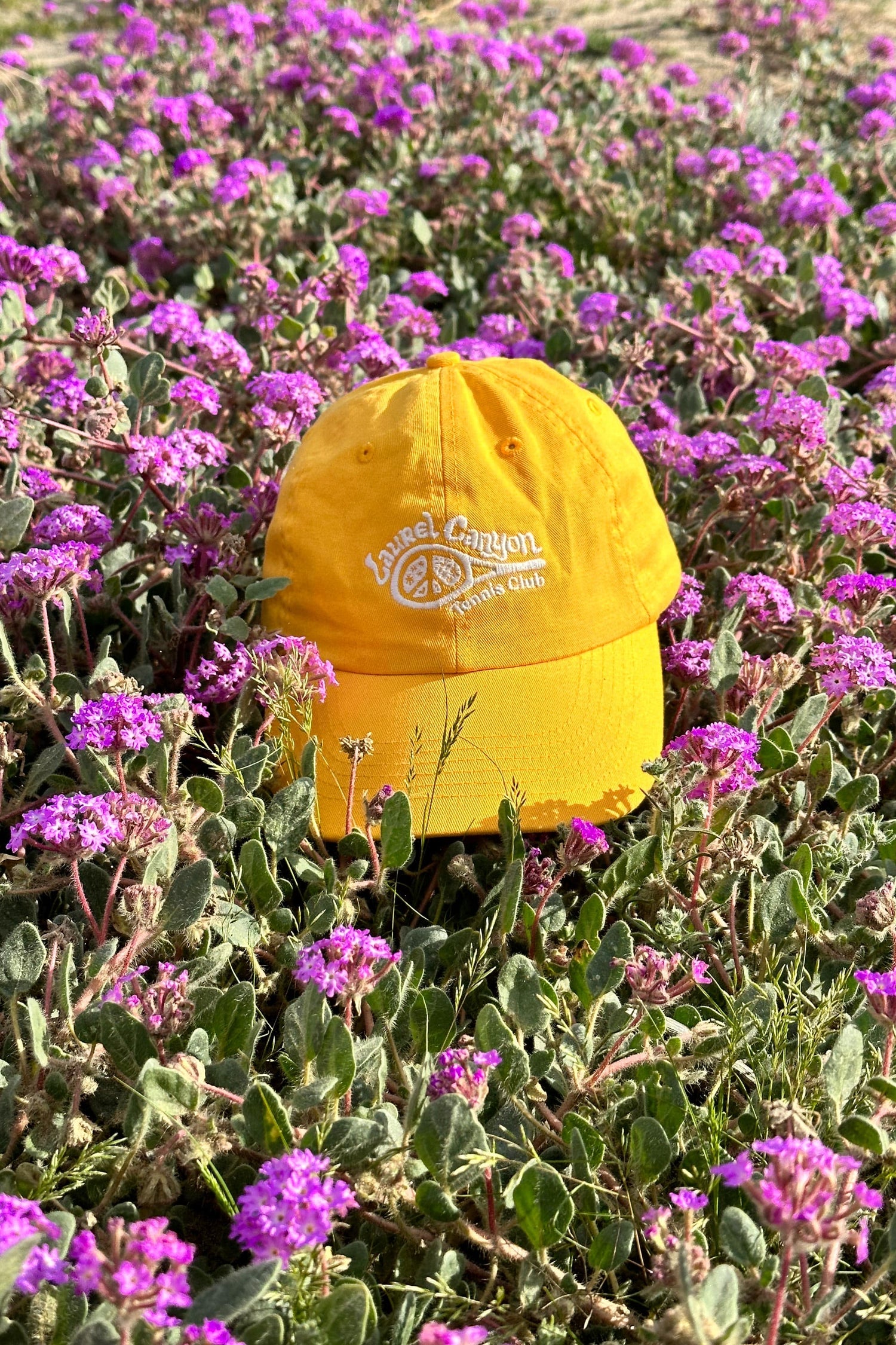 Unisex Laurel Canyon Tennis Club Embroidered Cotton Tennis Hat in Mellow Yellow