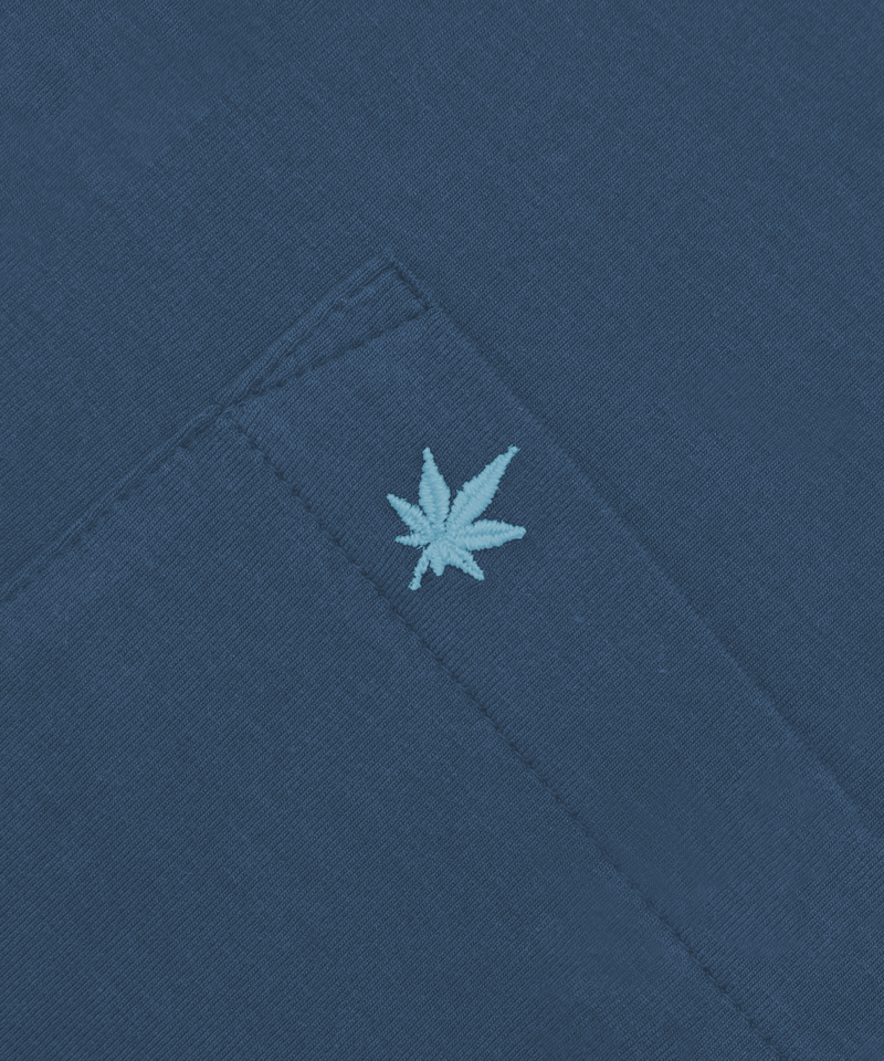 #color_varsity-blue