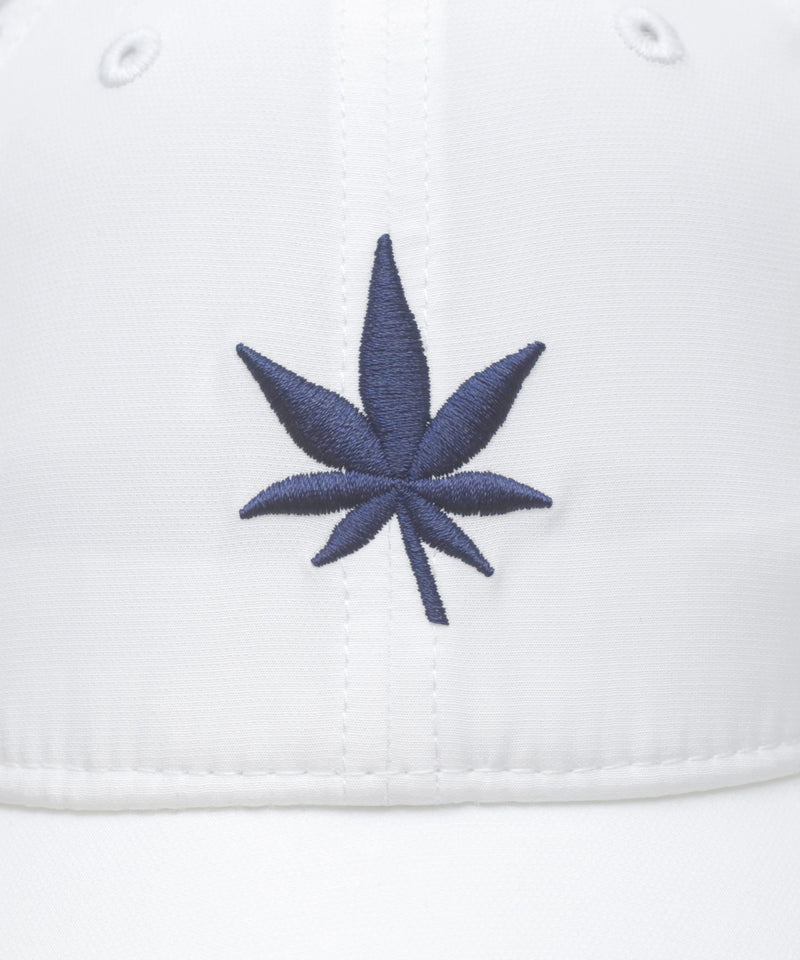 #color_white