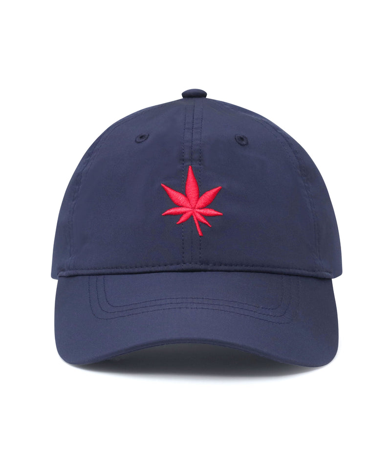 #color_navy